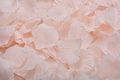 ocharzy 1000pcs Rose Petals Artificial Silk Flower Rose Petals for Wedding Decorations, Romantic Night, Valentine's Day, Parties, Events (Champagne Like Pink)