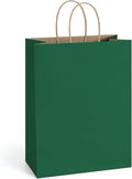 BagDream Forest Green Paper Bags with Handles Bulk 10x5x13 Inch 100Pcs Large Kraft Paper Gift Bags for Christmas, Thanksgiving, Outings, Craft, Retail, Grocery, Shopping, Recyclable