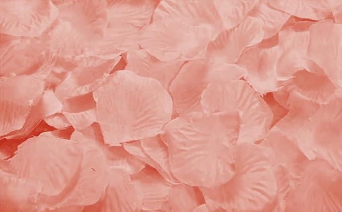ocharzy 1000pcs Separated Champagne Like Pink, Rose Petals for Romantic Night,Wedding,Proposal Anniversary Flower Decorations