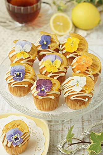 Uzunohana Dried Edible Flowers Viola Mix (50 Petals) | For Cake Decorating | For Garnish | For Culinary | For Cocktail!