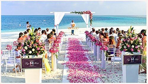 OCHARZY 3000 Fake Rose Petals for Wedding & Events - Silk Flower Rose Petals, Romantic Night Set, Engagement Decorations, Valentine's Day Party Decor