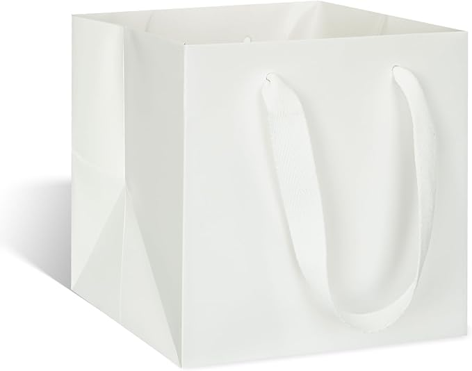 ADIDO EVA White Square Gift Bags Medium Size Square Bottom Paper Bags with Handles for Party Favor, Shopping Bag (10x10x10 In, 10 CT)