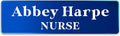 Magnetic Name Tags Personalized - Metal Engravable Name Badges with Pin or Strong Magnetic Backing for Teachers, Kids, Business, 1x3 Inch (Blue, Design 1)