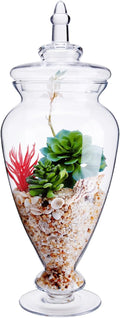 Glass Large Apothecary Jars, Clear Candy Bowl Dishes Holder Elegant Storage Buffet Display, Decorative Wedding Candy Organizer Canisters (Height: 17.5" Body: 6.5")