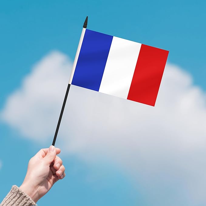 2 Pack France Desk Flag Set, French Desktop Small Miniature Table Office Flag with 12" Black Pole and Black Base, Offices, Classroom, Home, Festival Decoration (France)
