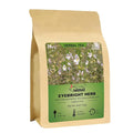 FullChea - Eyebright Herb Tea - 4oz/114g - Natural Tender Euphrasia Officinalis - Dried Eufrasia - Loose Leaf Herbal Tea - Cut & Sifted - Non-GMO - Caffeine-Free