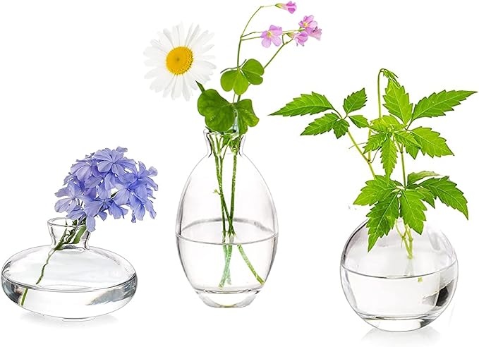 Glass Bud Vases Set of 3, Hewory Cute Clear Small Vases Handmade, Mini Glass Flower Vase for Floral Arrangement, Tiny Centerpiece for Wedding Party Events Home Office Table Decor (Not Include Flower)