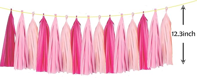 ZOOYOO Tassel Garland Tissue Paper Tassel Banner Table Decor,DIY Kits for Girls Women Birthday,Wedding,Bridal Shower,Bachelorette,Anniversary,Pack of 15(Hot-Pink,Light-Pink)