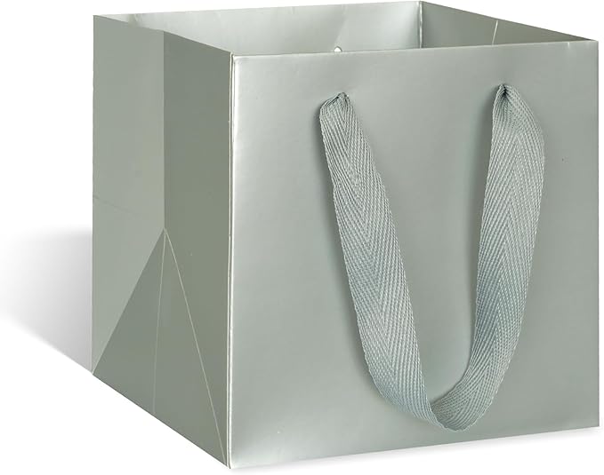 ADIDO EVA Silver Square Gift Bags Medium Size Square Bottom Paper Bags with Handles for Party Favor, Shopping Bag (10x10x10 In, 10 CT)