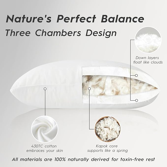 Globon Luxury Down Pillows Queen Size Set of 2 for Side Sleepers, 100% Cotton Shell Hotel Collection Bed Pillow for Sleeping, Firm Down Surrounded Feather Pillow 20" x 30"