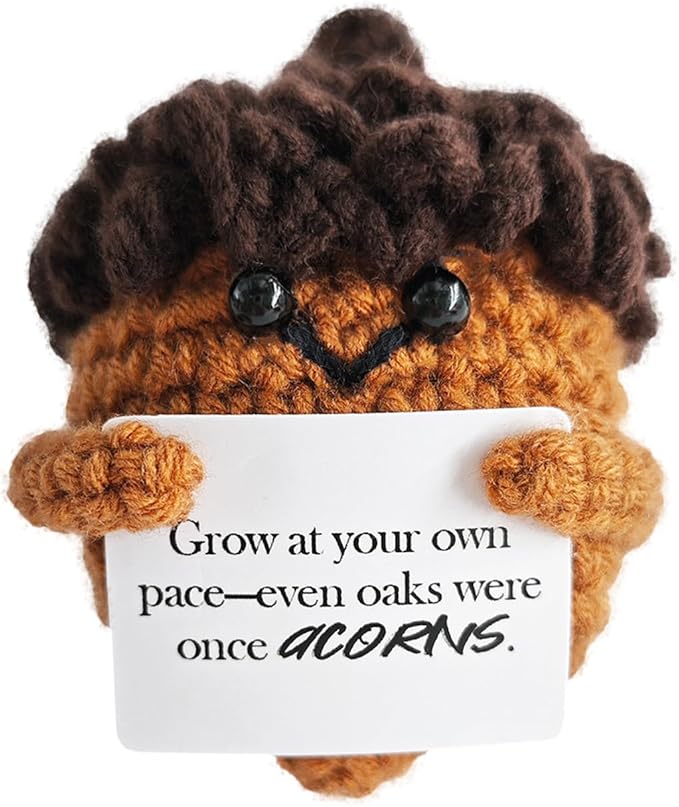 Emotional Support Crochet,Cute Acorn Crochets Pattern,Handmade Crochet Acorn Birthday Gift for Friend,Besties,Brother,Customized Graduation Gift,School Start Gifts