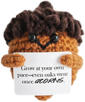 Emotional Support Crochet,Cute Acorn Crochets Pattern,Handmade Crochet Acorn Birthday Gift for Friend,Besties,Brother,Customized Graduation Gift,School Start Gifts