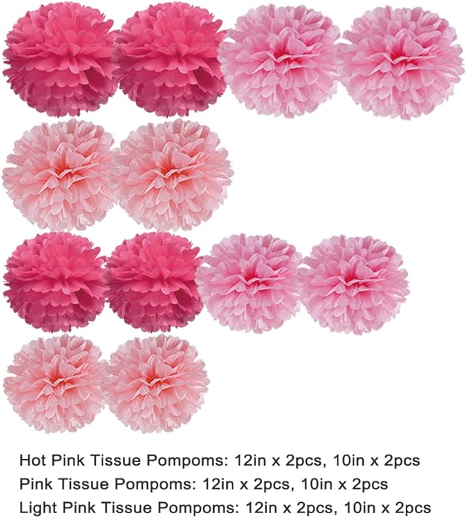 Pink Tissue Paper Pom Poms Flower for Valentine's Day Baby Shower Birthday Wedding Bachelorette Girl's Event Party Decoration, 12pc