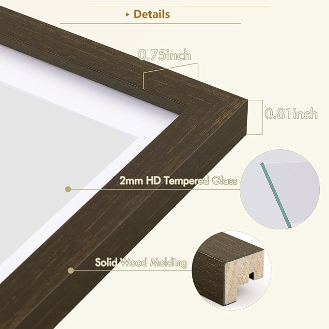 Golden State Art Photo Booth Picture Frame - 8.5x11 Frame with White Mat for 4 2X6 Film Strip Picture Display - Solid Wood with Tempered Glass - Dark Brown (1 Pack)