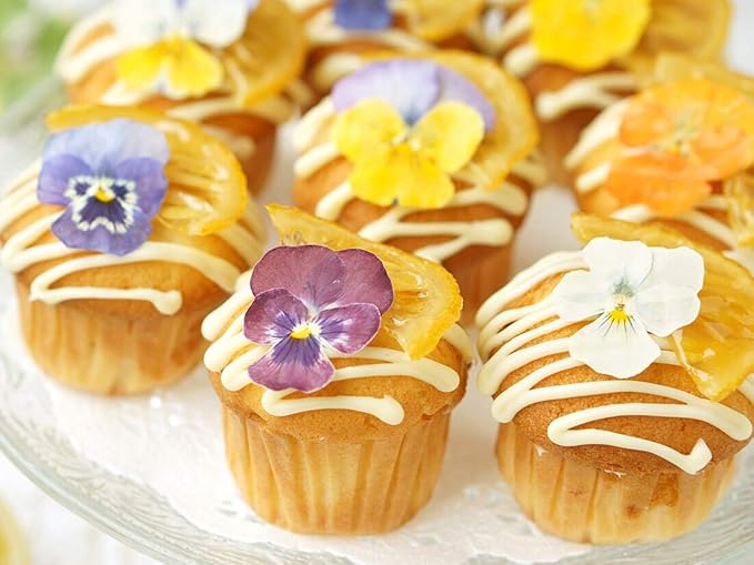 Uzunohana Dried Edible Flowers Viola Mix (50 Petals) | For Cake Decorating | For Garnish | For Culinary | For Cocktail!