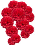 MOWO Red Paper Flower Tissue Pom Poms Party Supplies (red,12pc)