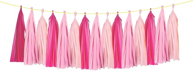 ZOOYOO Tassel Garland Tissue Paper Tassel Banner Table Decor,DIY Kits for Girls Women Birthday,Wedding,Bridal Shower,Bachelorette,Anniversary,Pack of 15(Hot-Pink,Light-Pink)