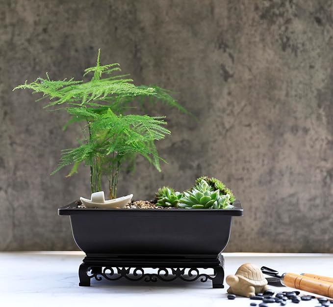 Cotta Planters Bonsai Pot - 2-Pack 9 Inch Training Pot With Elegant Stand - Antique Brown Pots With Mesh Drainage - Luxurious Indoor Tree Pots Made With Recycled Plastic