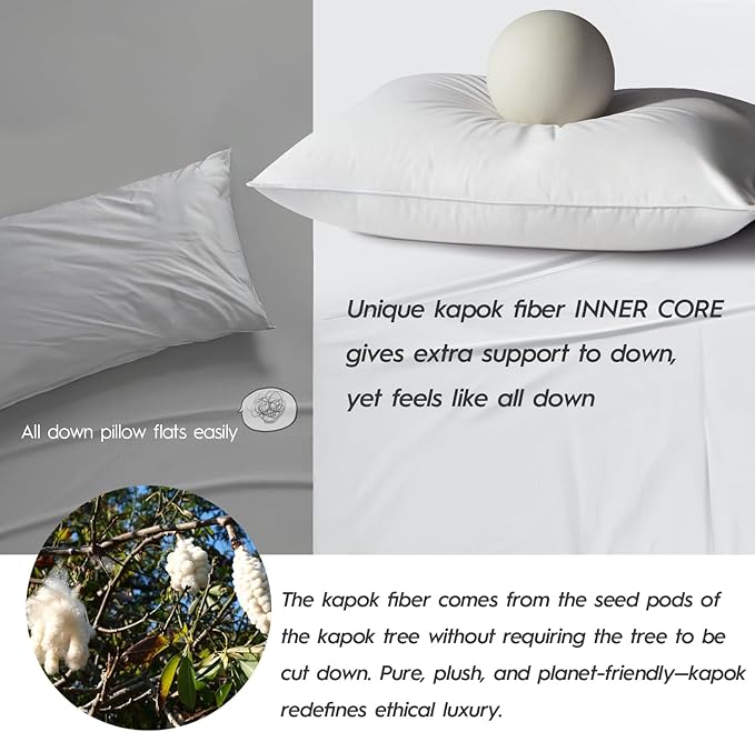 Globon Luxury Down Pillows Queen Size Set of 2 for Side Sleepers, 100% Cotton Shell Hotel Collection Bed Pillow for Sleeping, Firm Down Surrounded Feather Pillow 20" x 30"