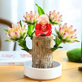 Brazilian Lucky Wood Plant Kit, Lucky Wood Doesn't Need to Wait to Sprout, Suitable for Home Office Desk Decor, Natural Air Cleaner (B)