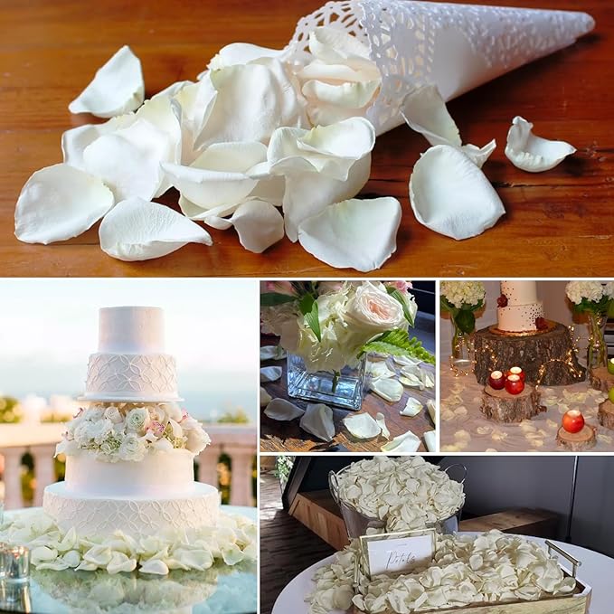 Dried Real White Rose Petals, Freeze Preserved Flower Petals 1.75oz for Valentine's Day Gifts Wedding Party Decor, Flower Girl, Dinner table Centerpieces, Bridal Shower, Flower Confetti 50g