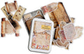Vintage Journal Stickers with Tin Box, Unique Washi Stickers for Adults, Teens, and Kids (Secret Manuscripts)