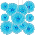 Tissue Paper Pom Poms, Blue Tissue Paper Flowers, Hanging Flower Balls for Weddings Fiesta Parties Birthday Baby Showers Classroom Bridal Shower Decoration (20Piece Set-6/10/12/14Inch)