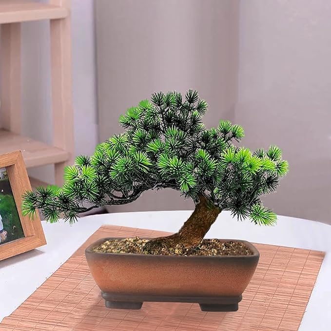 MUZHI 2 Pack Handmade Color Gradational Terracotta Bonsai Pot 5 Inch and 6 Inch with Drip Tray, Breathable Unglazed Rectangle Ceramic Planter for Tree Succulent Cactus