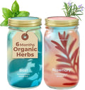 Modern Sprout Mason Garden Jar - Self-Watering Hydroponics Growing System Kit with Organic Herb Seeds - Jar Planter for Indoor Herb Garden - Seed Starter Kit - Home Decor & Gifting - Basil+Rosemary