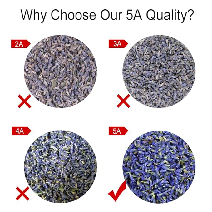 TEARELAE - Premium Dried Lavender Flowers - 5A Top Grade - 100% Pure Natural Edible Flowers Culinary Dried Lavender Buds - for Baking, Tea, Soap, Bath Bombing, Candle and Sachets - 3oz/85g