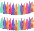 Tissue Paper Tassel Garland Banner, 20 Pack, Purple Blue Orange Pink, Pastel Party Decorations for Birthday, Baby Shower,Disco Them,Halloween