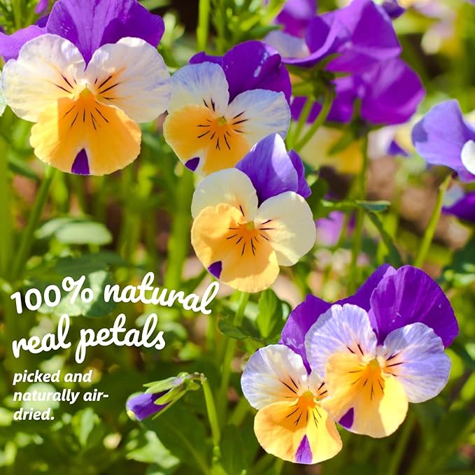 50 Pcs 8 Kinds Natural Dried Pressed Edible Flowers for Cake Topper Decorating - Mix Viola Tricolor for Cupcake Toppers, Cocktails, Resin Jewelry Making, DIY Art Crafts