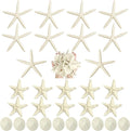 Queekay 15 Pieces Resin Starfish Sand Dollars 2.0 Inch 4.7 Inch Starfish 2.3 Inch Sand Dollars Crafts Ocean Themed Glittered Coastal Decorations for Summer Wedding Christmas Party Decor Supplies