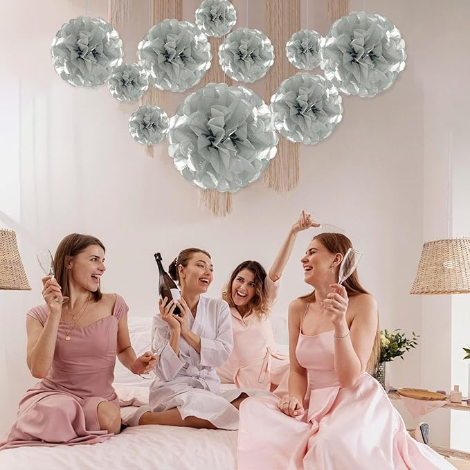 Tissue Paper Pom Poms, Silver Tissue Paper Flowers, Hanging Flower Balls for Weddings Fiesta Parties Birthday Baby Showers Classroom Bridal Shower Decoration (20Piece Set-6/10/12/14Inch)
