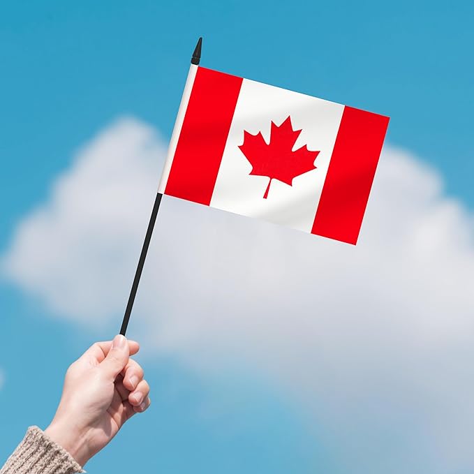 12 Pack Canada Desk Flags, Canadian Desktop Flag, Small Miniature Office Flags with 12" Black Pole and Black Base, Offices, Classroom, Home, Festival Decoration (Canada)