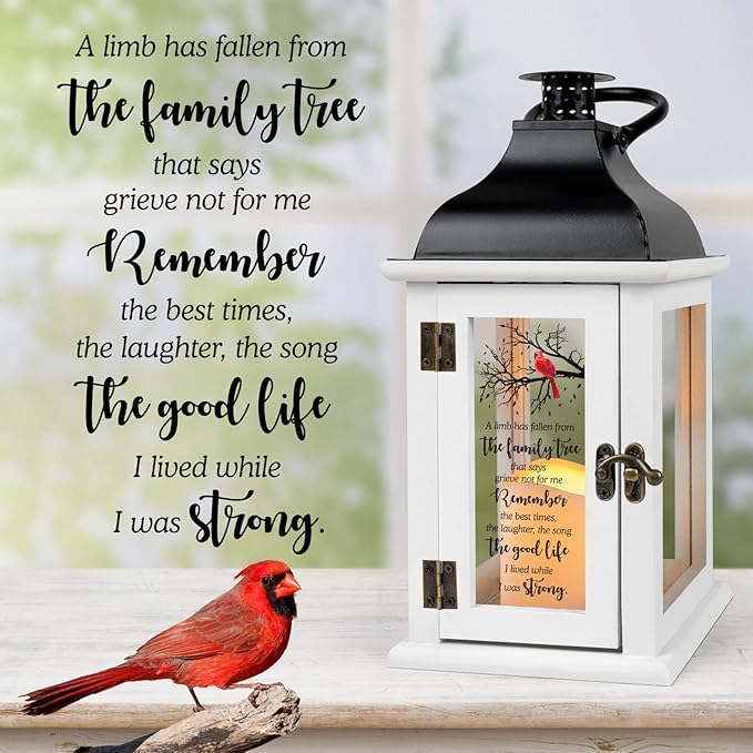 Memorial Lantern - Bereavement Sympathy Gifts for Loss of Loved One - Remembrance Gifts with LED Candle and Remote