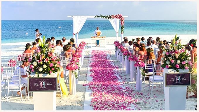 ocharzy 1000pcs Rose Petals Artificial Silk Flower Rose Petals for Wedding Decorations, Romantic Night, Valentine's Day, Parties, Events