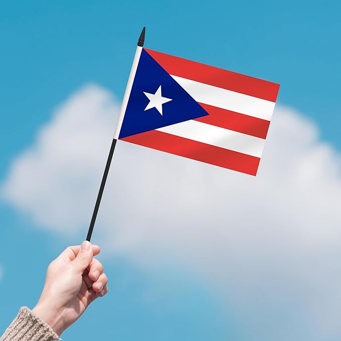 2 Pack Puerto Rico Desk Flag Set, Puerto Rican Desktop Small Miniature Table Office Flag with 12" Black Pole and Black Base, Offices, Classroom, Home, Festival Decoration (Puerto Rico)