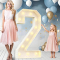Ledido 4FT Marquee Light Up Numbers Large Light Up Letters for Party Decoration, Marquee Numbers for 2nd 20th Birthday Anniversary, Pre-cut Foam Board Assembly Required Number 2