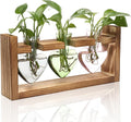 Plant Terrarium Propagation Stations Hydroponics Home Garden Decoration Gift for Women with Wooden Stand Heart Shaped Colored Glass Vase