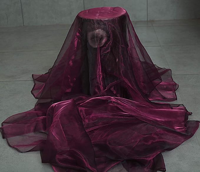 VDS Eggplant Organza Fabric, 10 Yards Continuous, 45” Wide, Wedding Party Decoration Iridescent Crystal Sheer Shiny Organza Tulle Bridal Dress DIY Crafts Costume Sewing Backdrop Arch Cloth