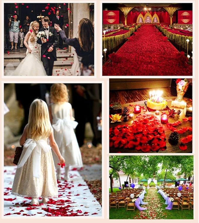 Ocharzy 1000 PCS Silk Flower Rose Petals for Wedding, Romantic Night for Her/Him Set, Artificial Fake Rose Petals for Engagement, Flower Decorations, Valentine's Day, Events, Party Decor