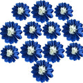 12pcs 10in 12in Paper Flowers Tissue Flowers Pom Paper Pom Poms Hanging Paper Flowers Wall Backdrop Wedding Party Flower Decorations DIY Art Craft Blooms for Birthday Shower Nursey Decor Royal Blue