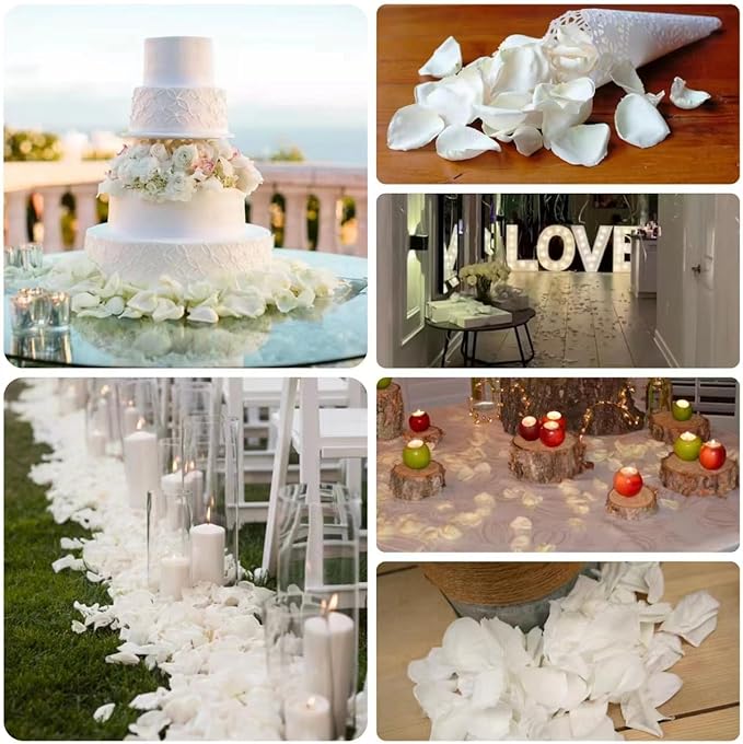 Dried Real White Rose Petals, Freeze Preserved Flower Petals 2.8 oz for Valentine's Day Gifts Wedding Party Decor, Flower Girl, Dinner Table Centerpieces, Bridal Shower, Flower Confetti 80g