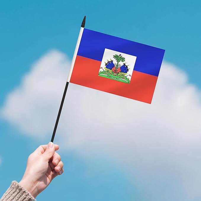 12 Pack Haiti Desk Flags, Haitian Desktop Flag, Small Miniature Office Flags with 12" Black Pole and Black Base, Offices, Classroom, Home, Festival Decoration (Haiti)