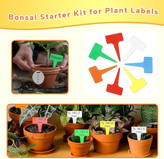 Bonsai Tools Set for Beginners, Bonsai Tree Kit with Training Wire, Scissors, Pruning Shears, Repotting Kit, Indoor Plant Tools Starter Kit (Purple with saws)