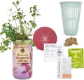 Modern Sprout Mason Garden Jar - Self-Watering Hydroponics Growing System Kit with Organic Herb Seeds - Jar Planter for Indoor Herb Garden - Seed Starter Kit - Home Decor & Gifting - Parsley