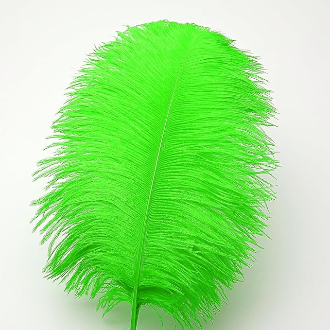 Ballinger Lime Green Ostrich Feathers - 24Pcs 8-10inch Large Green Feathers for Crafts,Wedding Party Centerpieces and Holiday Home Decor
