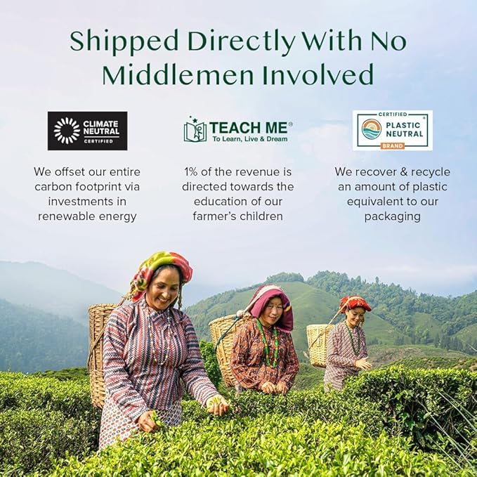 VAHDAM, Green Tea Variety Pack Sampler Assortment (36 Pyramid Tea Bags, 6 Flavor) | Non-GMO Project Verified Himalayan Green Tea with No Artificial Ingredients | Gifts for Women & Men