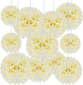 Tissue Paper Pom Poms, Ivory Tissue Paper Flowers, Hanging Flower Balls for Weddings Fiesta Parties Birthday Baby Showers Classroom Bridal Shower Decoration (20Piece Set-6/10/12/14Inch)